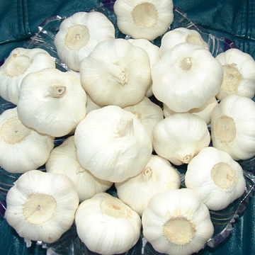 Fresh Garlics