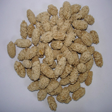 Coffee Flavour Coated Peanut