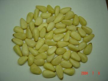 Pine Nut Kernels