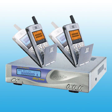 Wireless PBX Systems