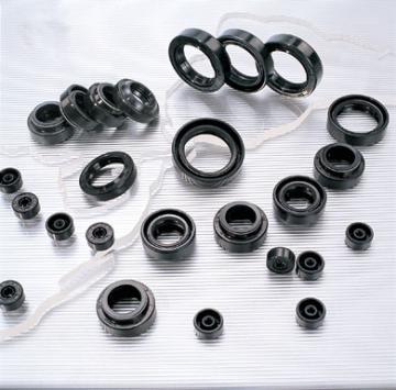 Shock Absorber Seals