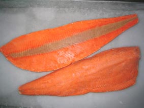 Chum Salmon Fillets