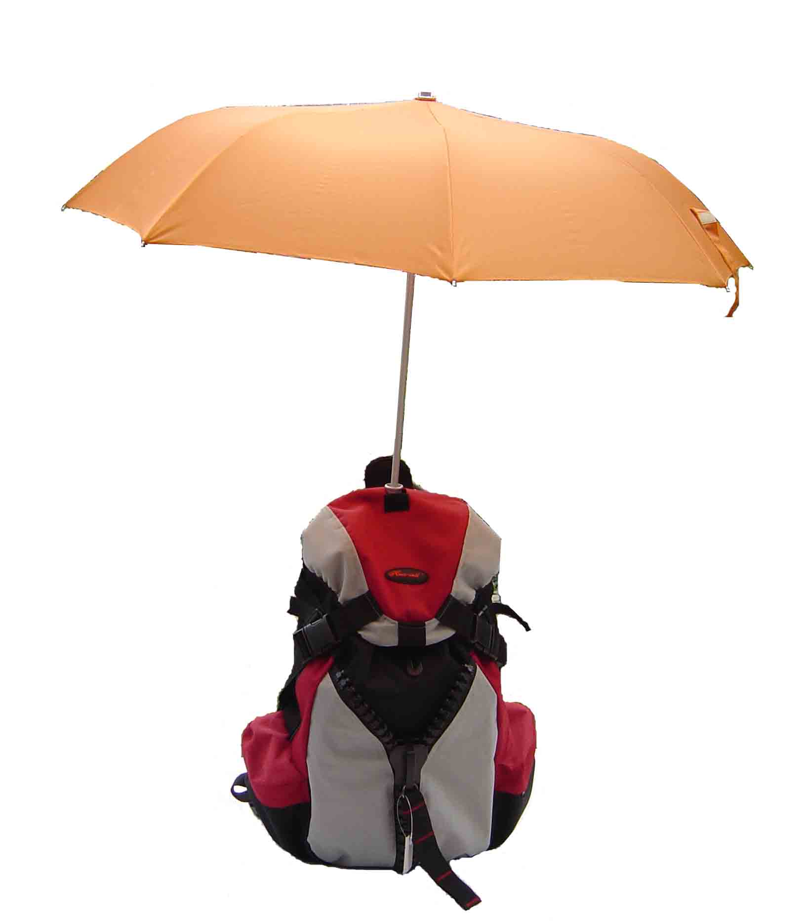 Bag Umbrella