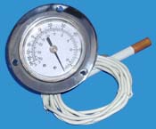 Remote Thermometers