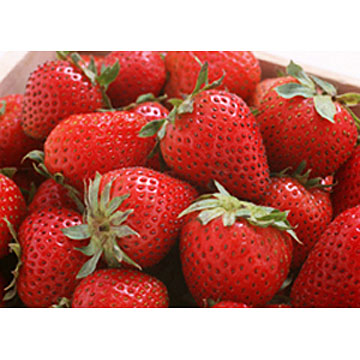 Fresh Strawberries