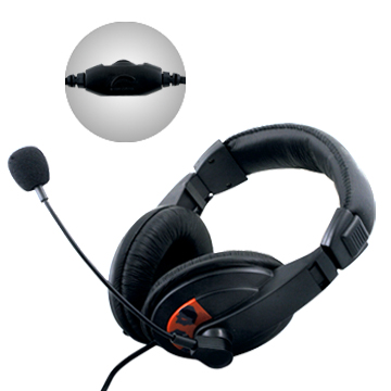 stereo headphone / headset / microphone / earphone for computer