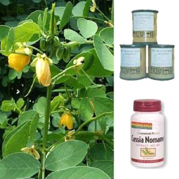 Cassia Nomame Powder Extracts