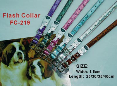 Dog Collars