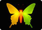 Butterfly LED Night Light