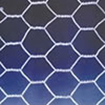 Hexagonal Mesh