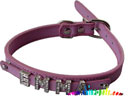 dog collar