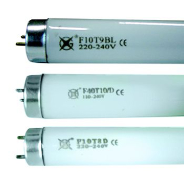 T8 Fluorescent Lamps