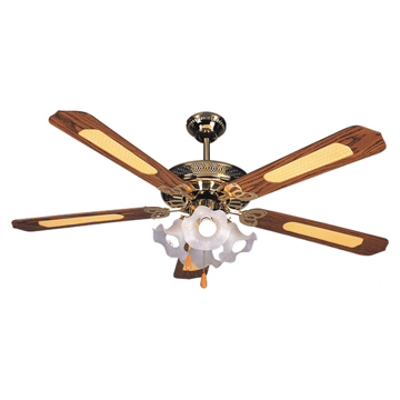 Decorative Ceiling Fans