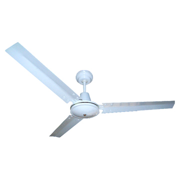 Ceiling Fans