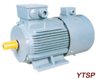 YTSP Series VVVF Adjustable speed Three-Phase Induction Motors