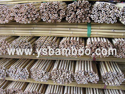 bamboo poles