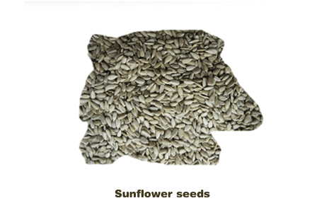 sunflower  seeds