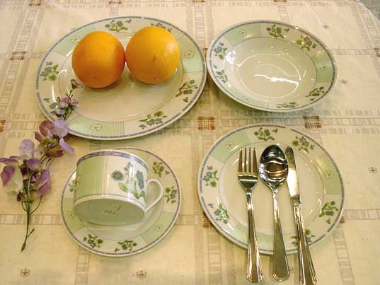 20 PCS Porcelain Dinner Sets