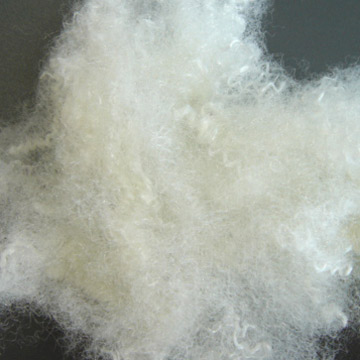 Polyester Staple Fibers