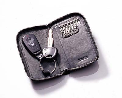 zf2583 key purse