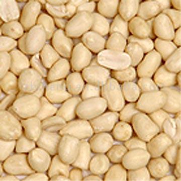Blanched Peanut Kernels ( Round Sharp )